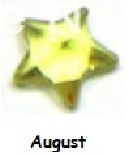 August birthstone star 4mm floating locket charm - Click Image to Close